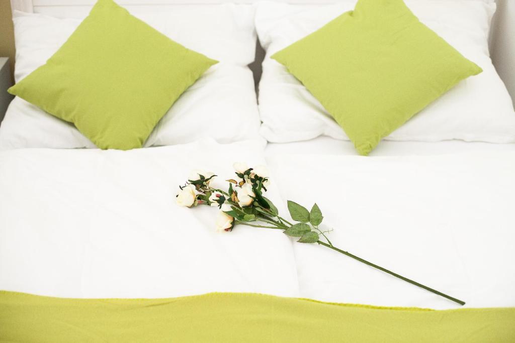 Apartamento Traditional Tav - Entire Viena